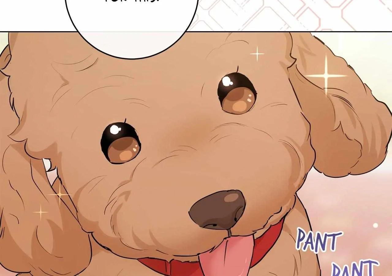 Read Mint Candy Love chapter 13 image 82 on Lezhin
