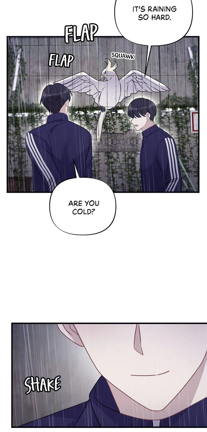 Read Miracle Illusion chapter 10 image 28 on Lezhin