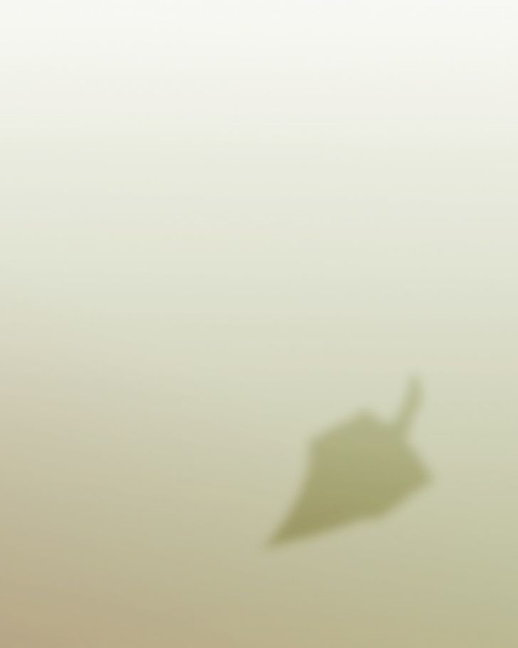 Read Mirror chapter 16 image 8 on Lezhin