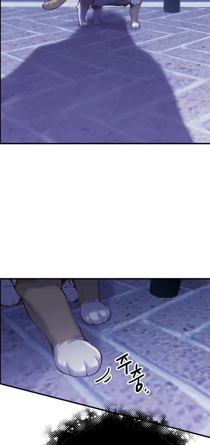 Read Mirror chapter 33 image 10 on Lezhin