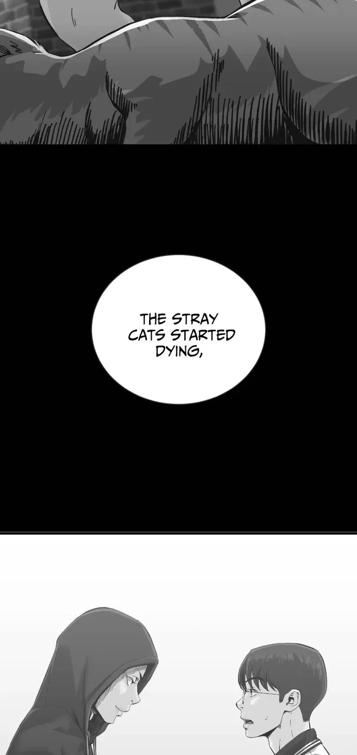 Read Mirror chapter 34 image 28 on Lezhin