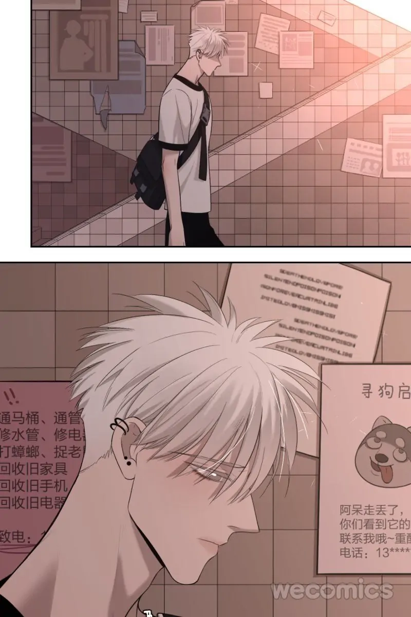 Read Misbehave chapter 13 image 1 on Lezhin
