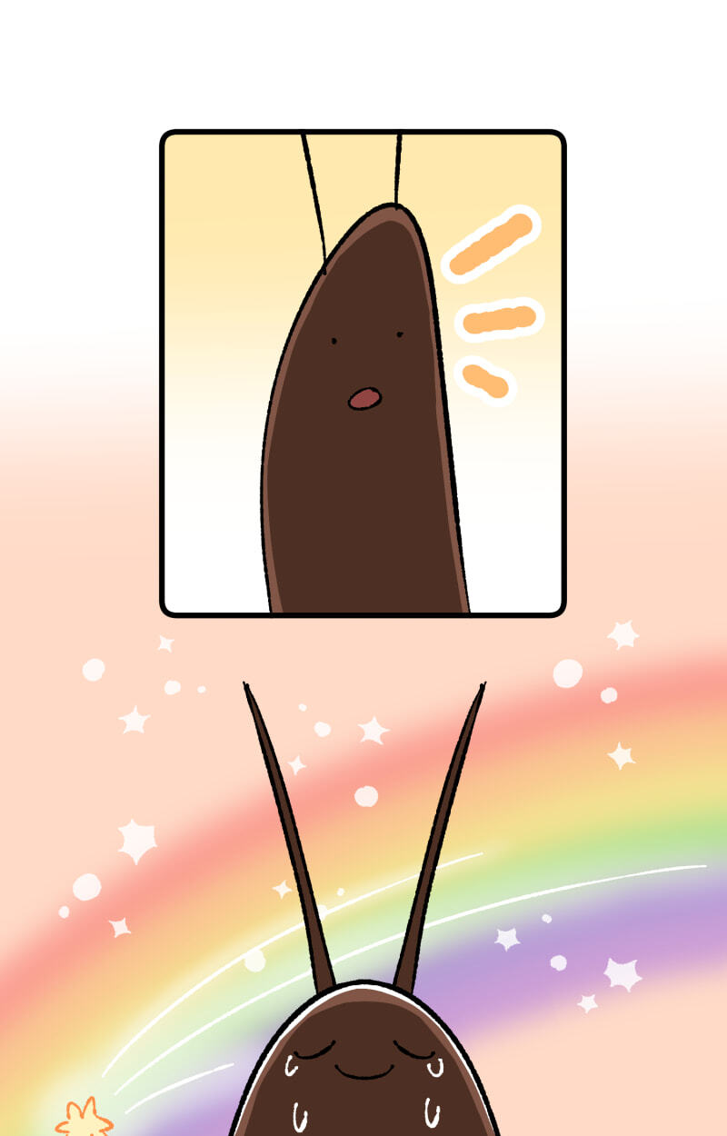 Misi Chapter 27 page 15 - 