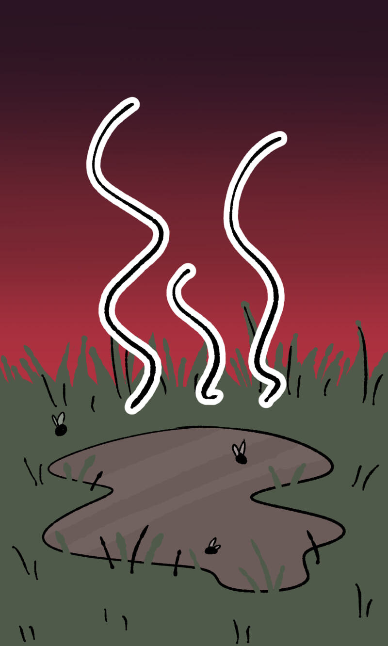 Misi Chapter 34 page 6 - 