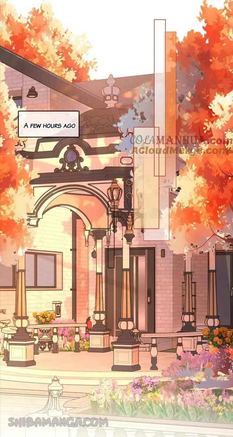 Miss Gu and Miss Qu Chapter 64 page 4 - 