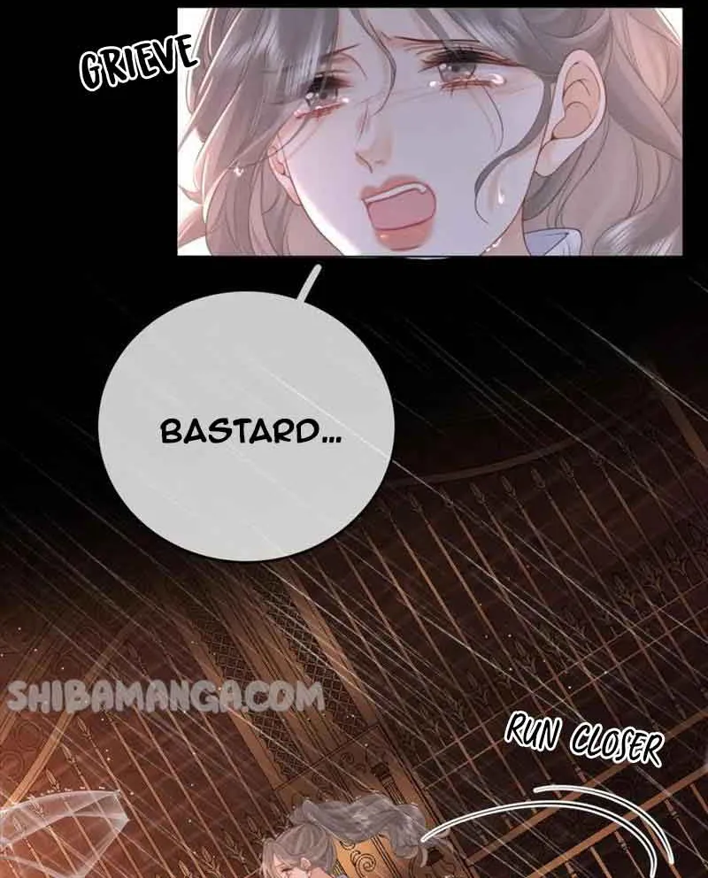 Miss Gu and Miss Qu Chapter 66 page 4 - 