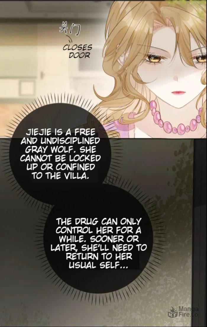 Miss Wolf and Her Fox Sister Chapter 19 page 33 - 