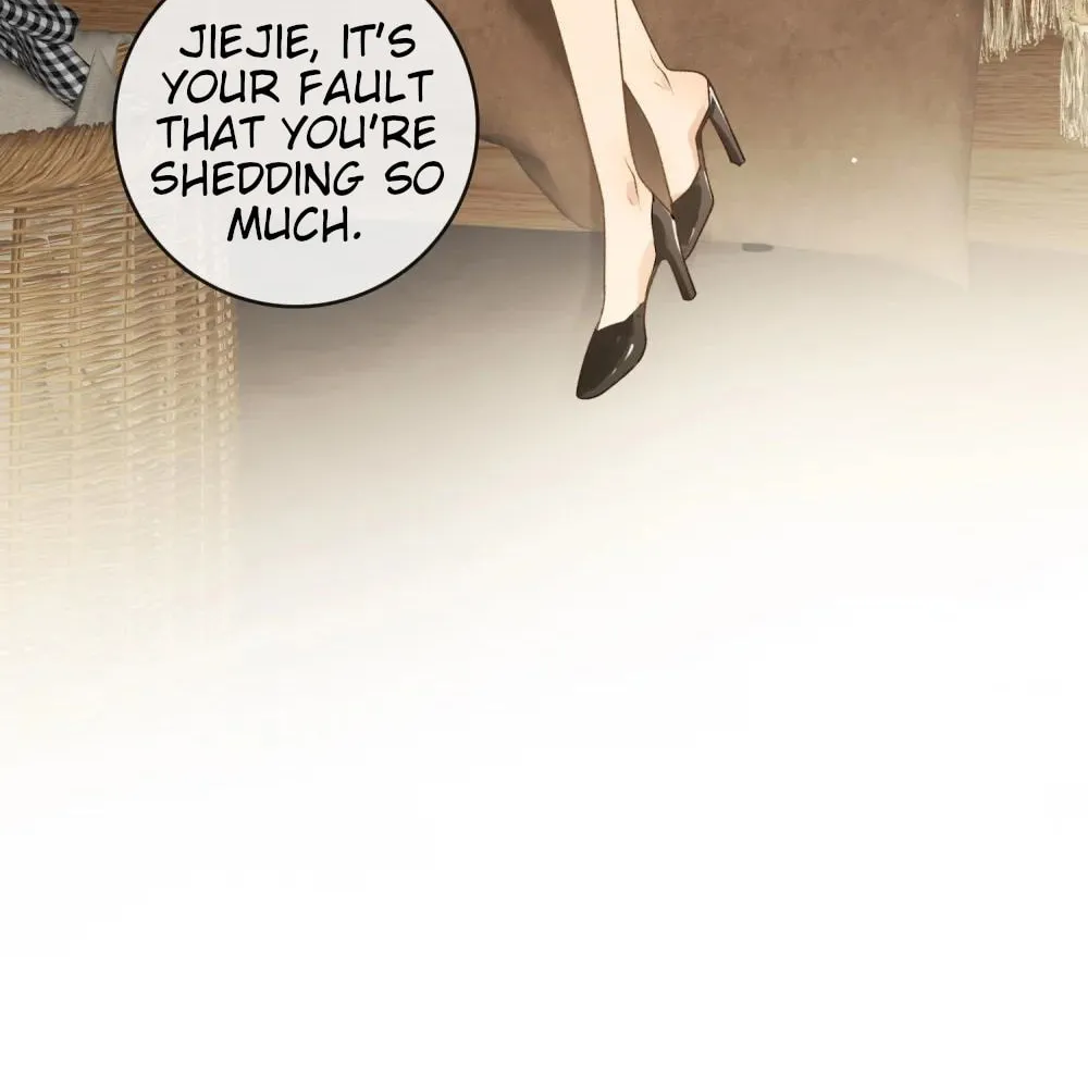 Miss Wolf and Her Fox Sister Chapter 31 page 12 - 