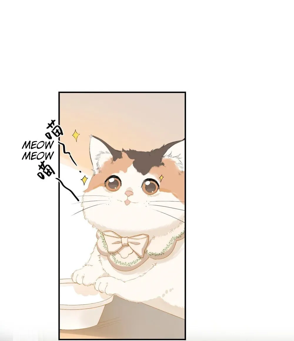 Miss Wolf and Her Fox Sister Chapter 34.1 page 2 - 