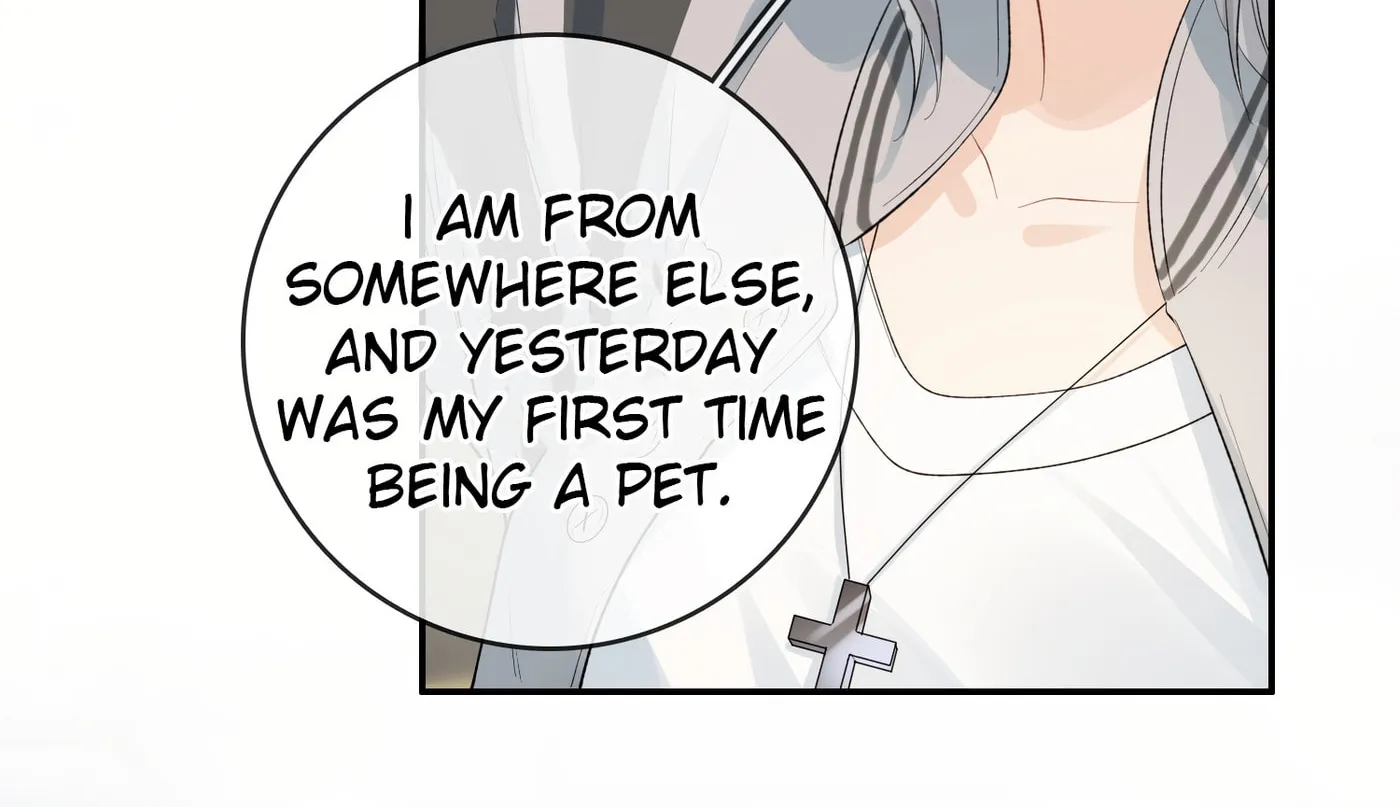 Miss Wolf and Her Fox Sister Chapter 41 page 24 - 