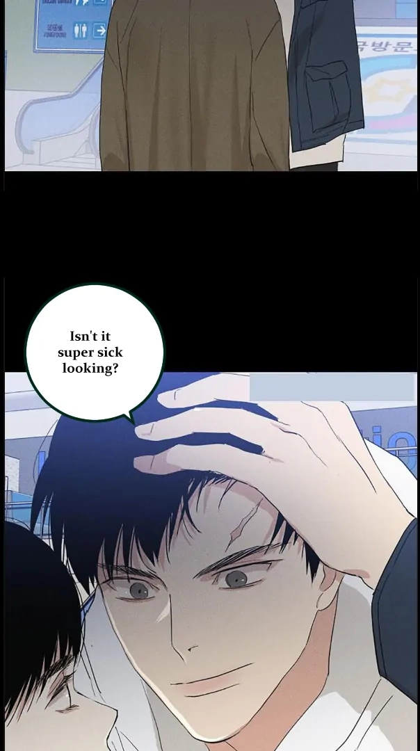 Missing Love: The Marrying Man Chapter 74 page 73 - 