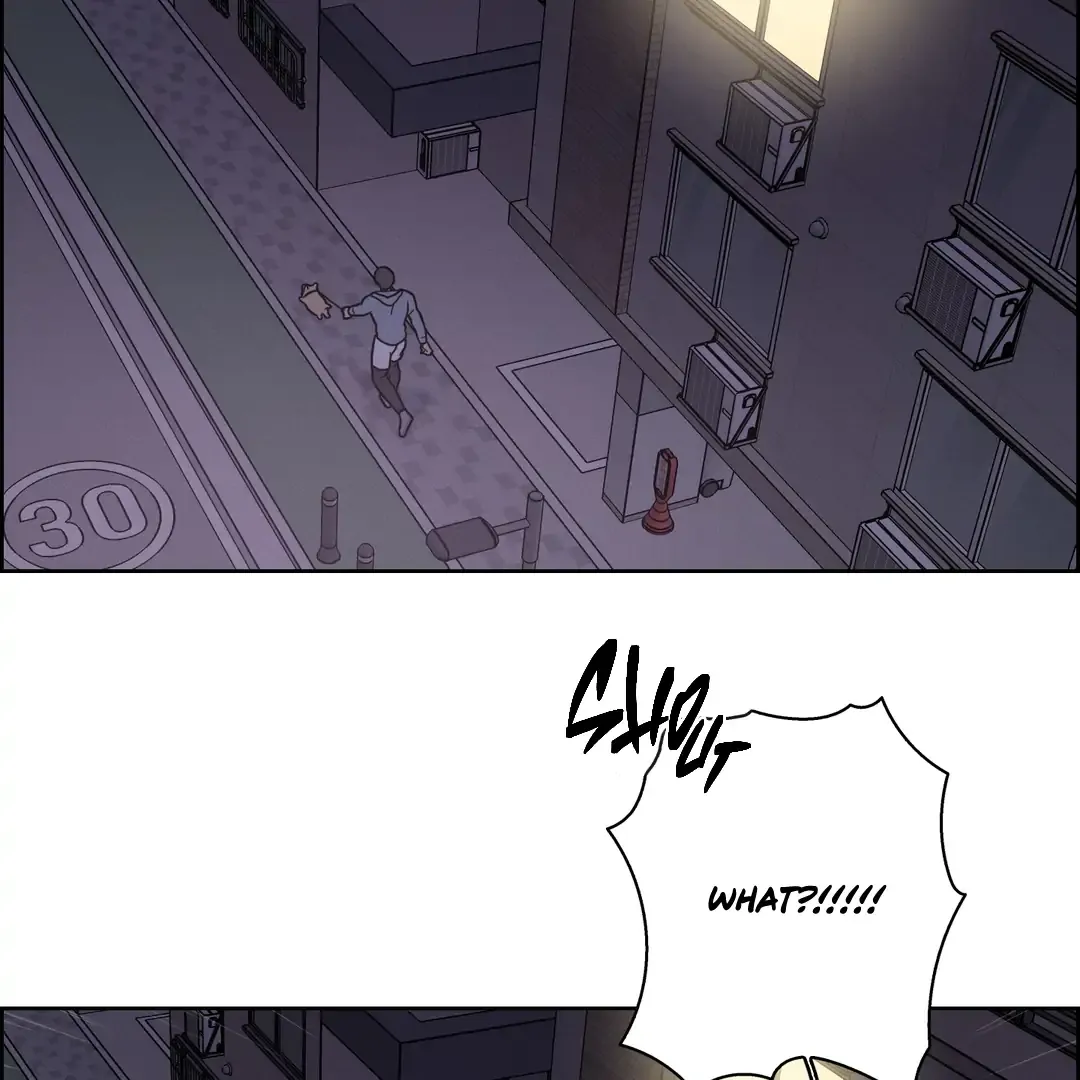 Read Missing Pepper Case chapter 3 image 2 on Lezhin
