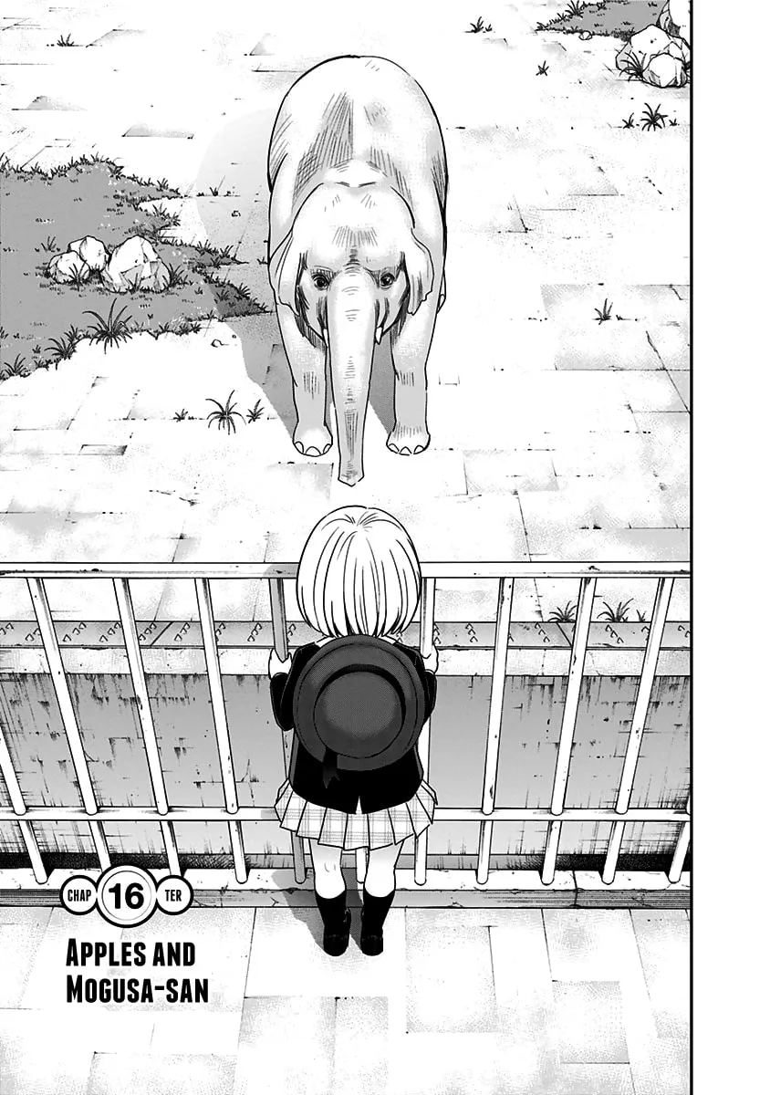 Read Mogusa-san chapter 16 image 3 on Lezhin