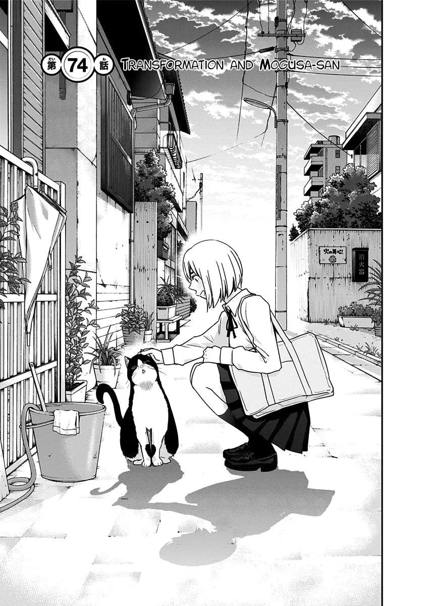 Read Mogusa-san chapter 74 image 3 on Lezhin