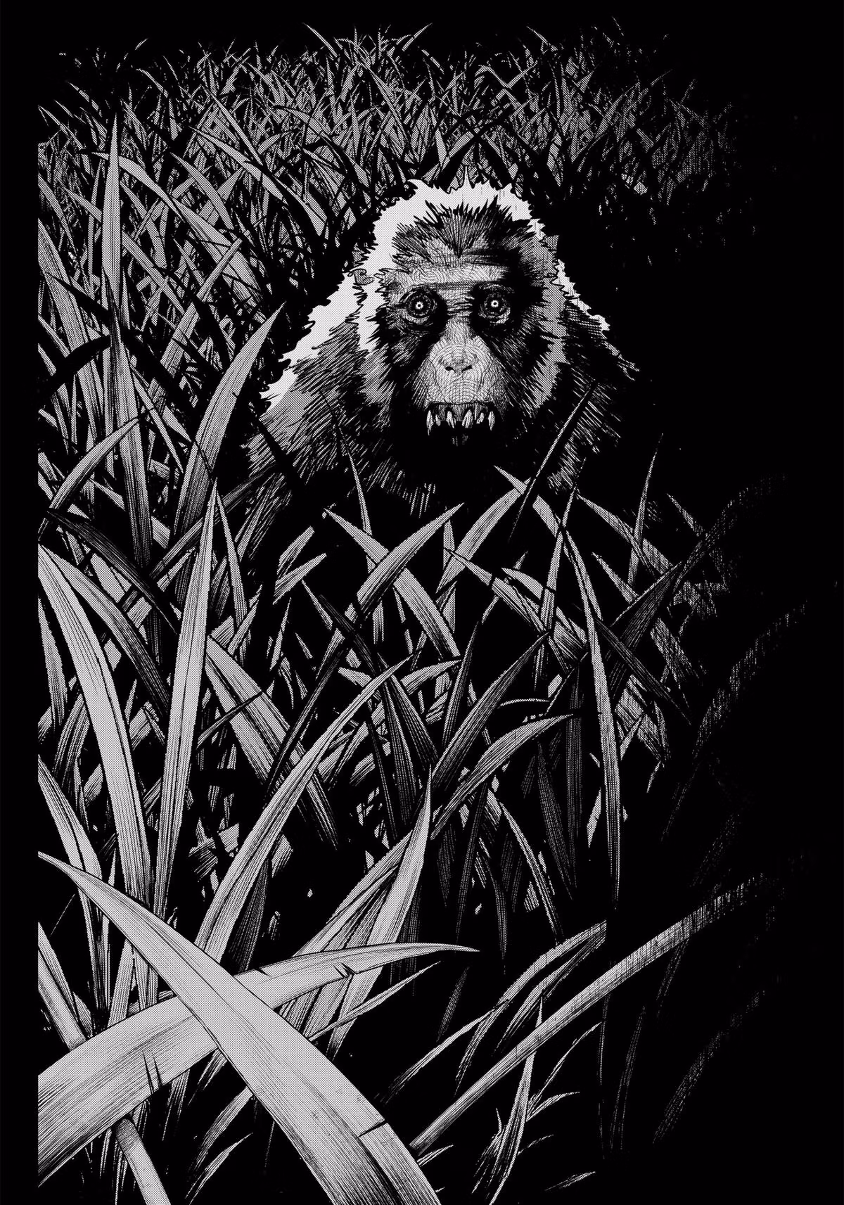 Read Monkey Hunting chapter 1 image 55 on Lezhin
