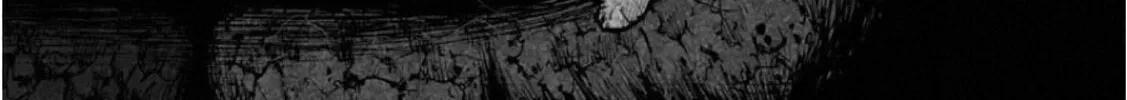 Read Monkey Peak the Rock chapter 1 image 7 on Lezhin