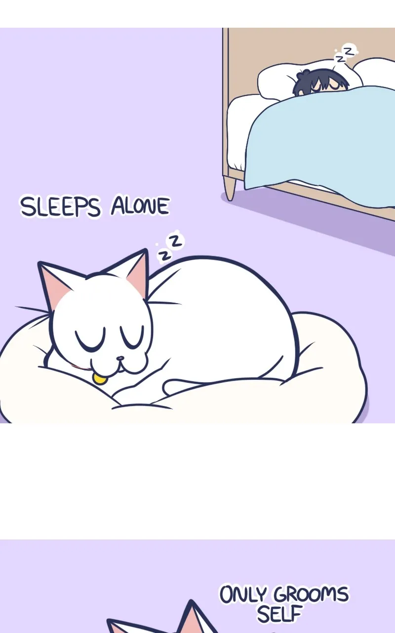Mono and Mochi Chapter 101 page 7 - 