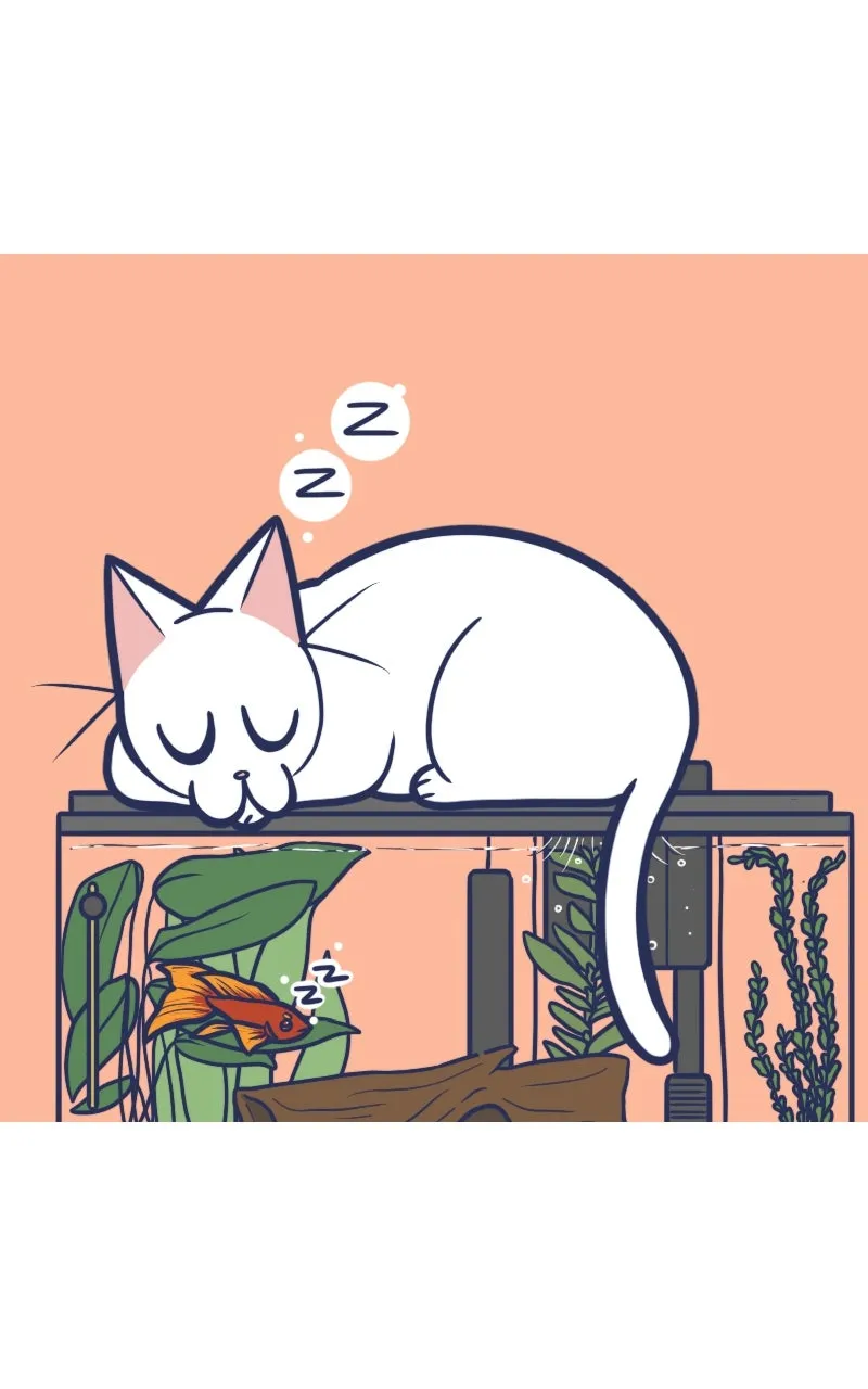 Mono and Mochi Chapter 114 page 1 - 