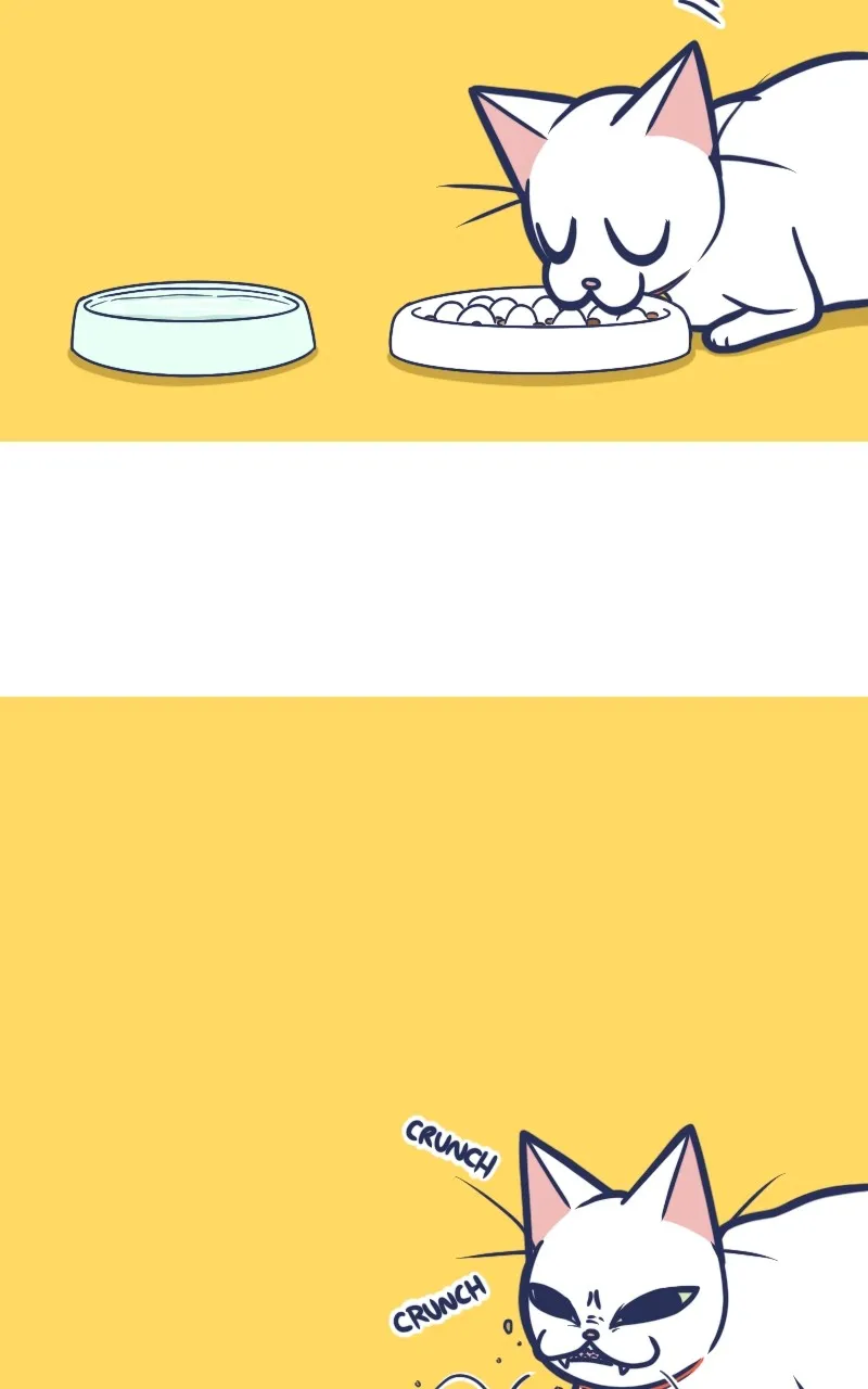 Mono and Mochi Chapter 124 page 8 - 