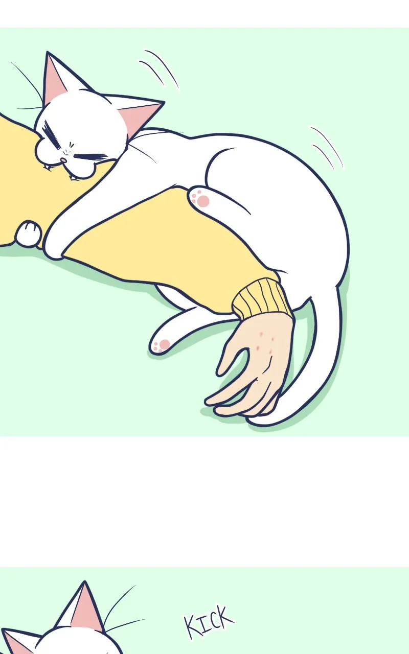 Mono and Mochi Chapter 147 page 6 - 