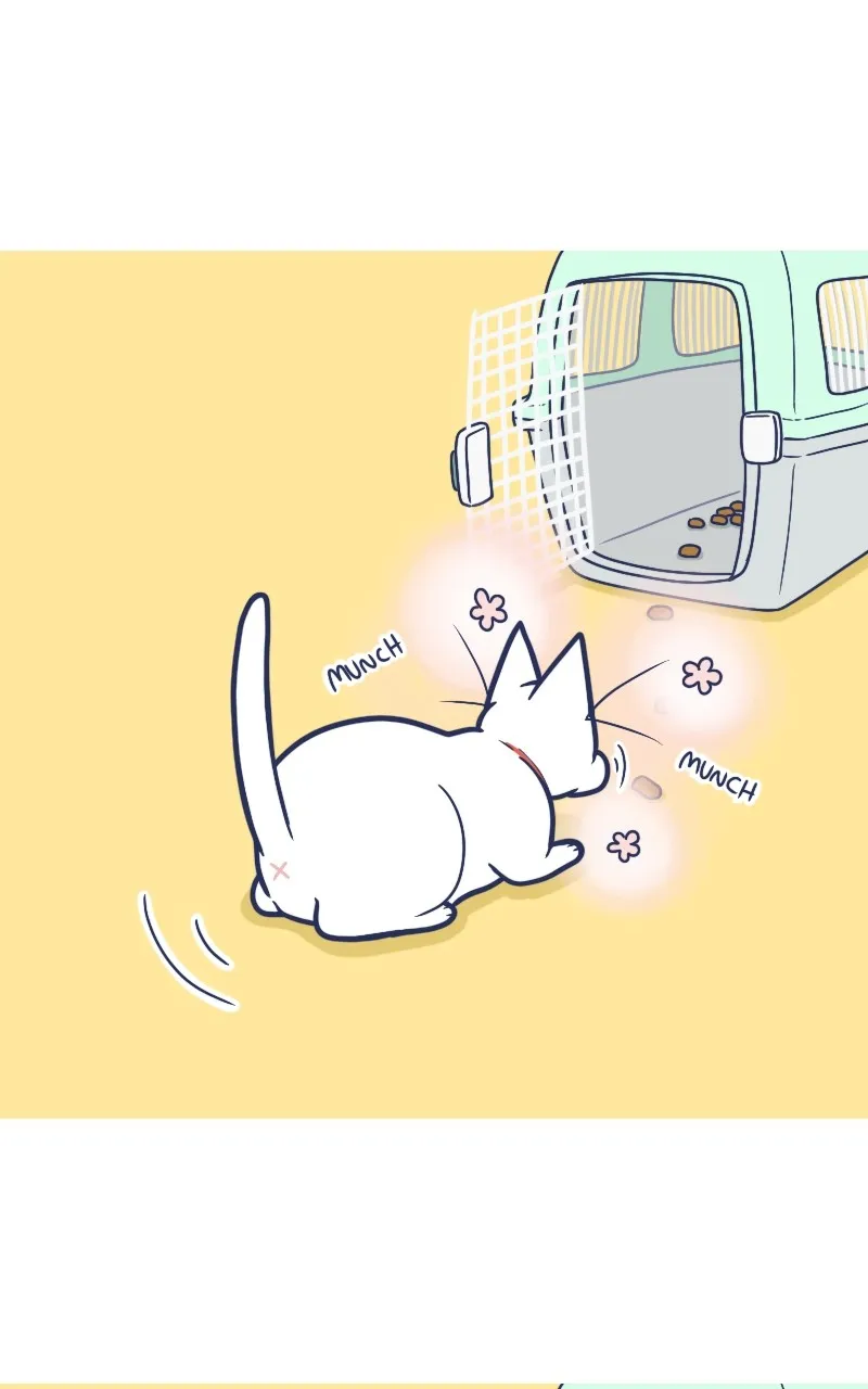 Mono and Mochi Chapter 157 page 5 - 