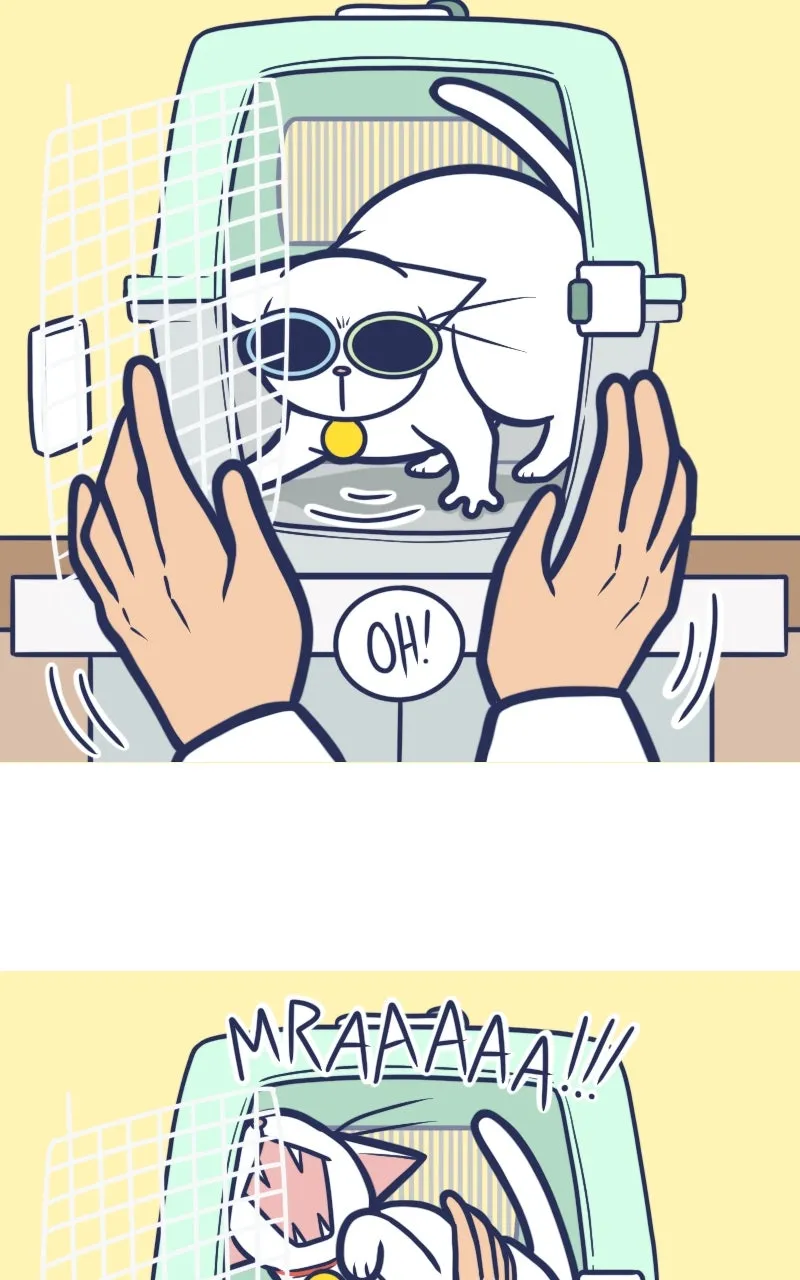 Mono and Mochi Chapter 162 page 2 - 