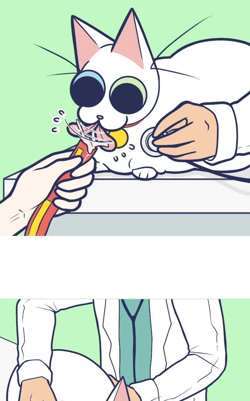 Mono and Mochi Chapter 164 page 2 - 