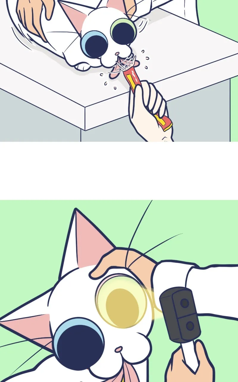 Mono and Mochi Chapter 164 page 3 - 