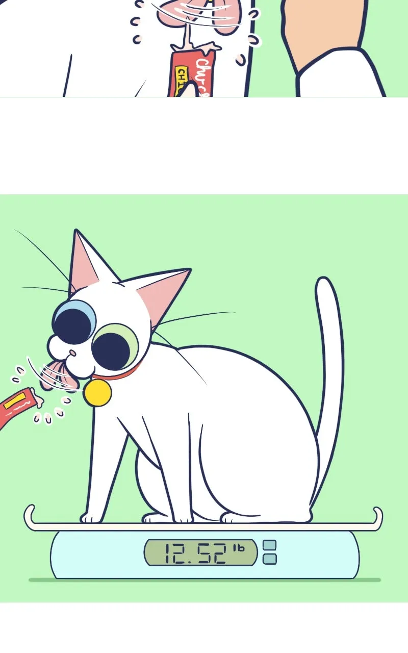 Mono and Mochi Chapter 164 page 4 - 