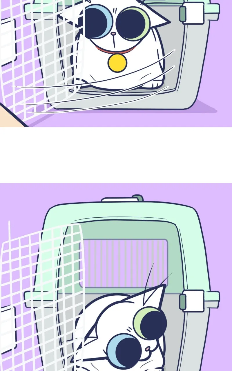 Mono and Mochi Chapter 168 page 3 - 