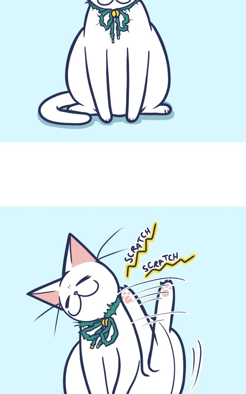 Mono and Mochi Chapter 171 page 3 - 