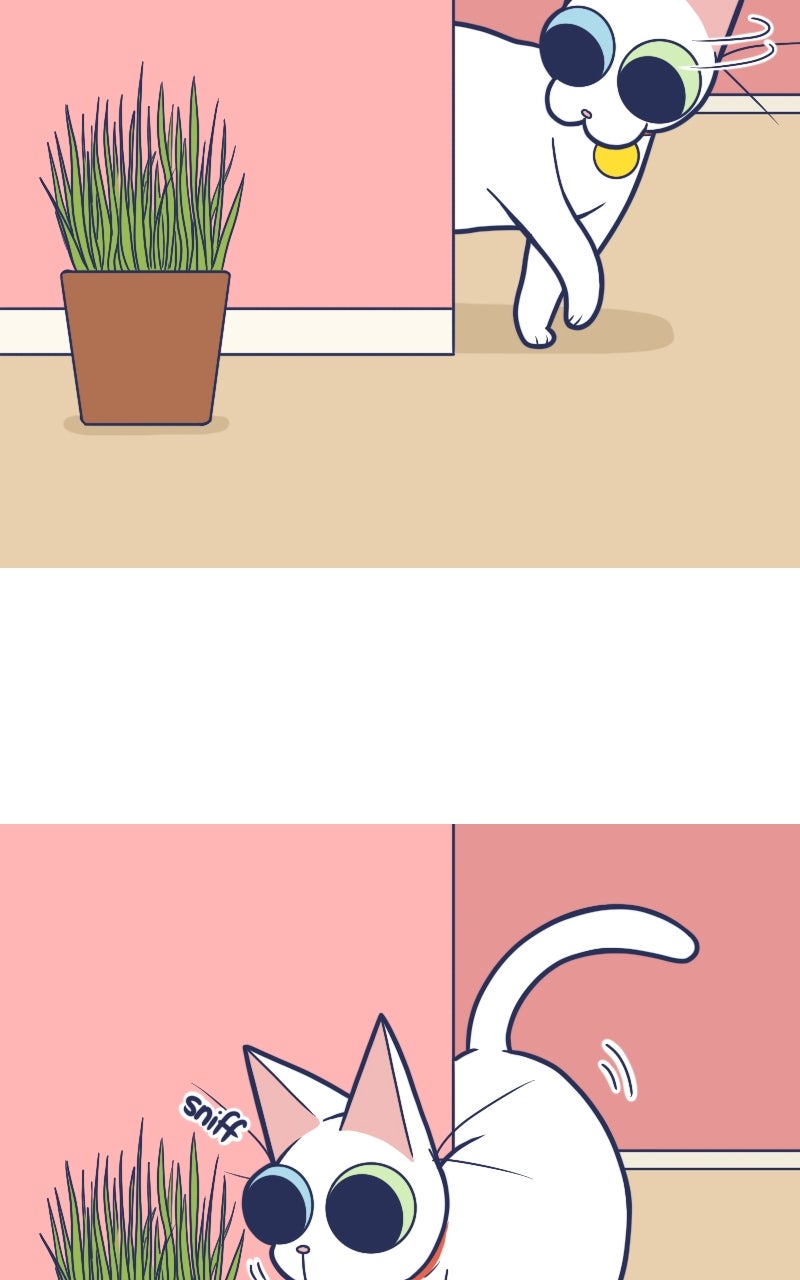 Mono and Mochi Ep. 198 - Fragrant page 3 - 