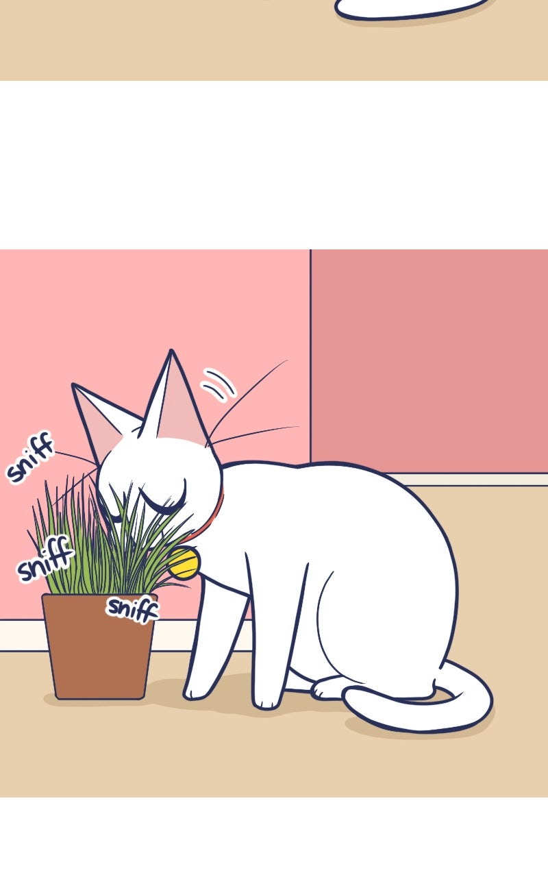 Mono and Mochi Ep. 198 - Fragrant page 5 - 