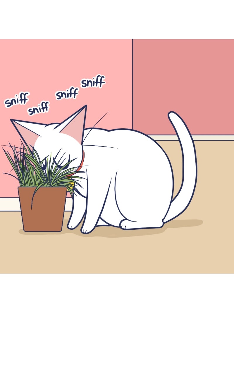 Mono and Mochi Ep. 198 - Fragrant page 6 - 