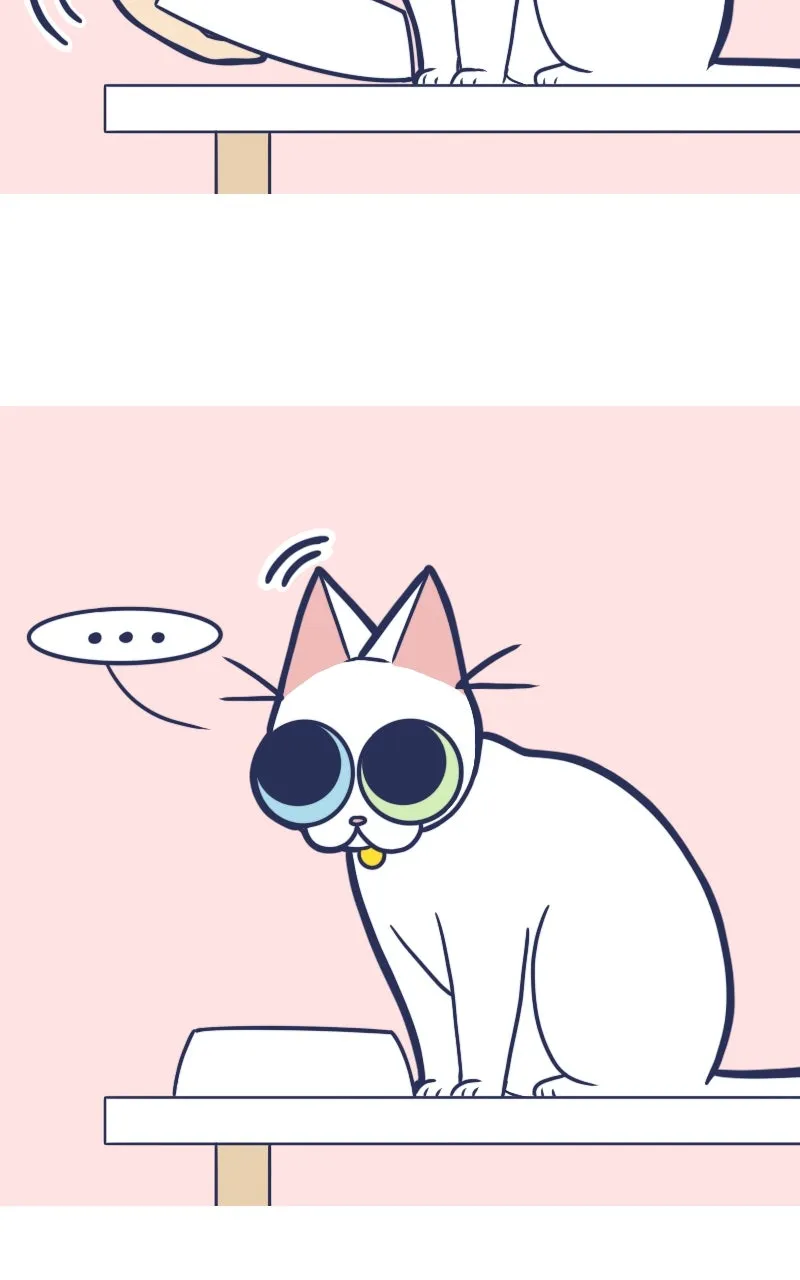 Mono and Mochi Chapter 41 page 4 - 