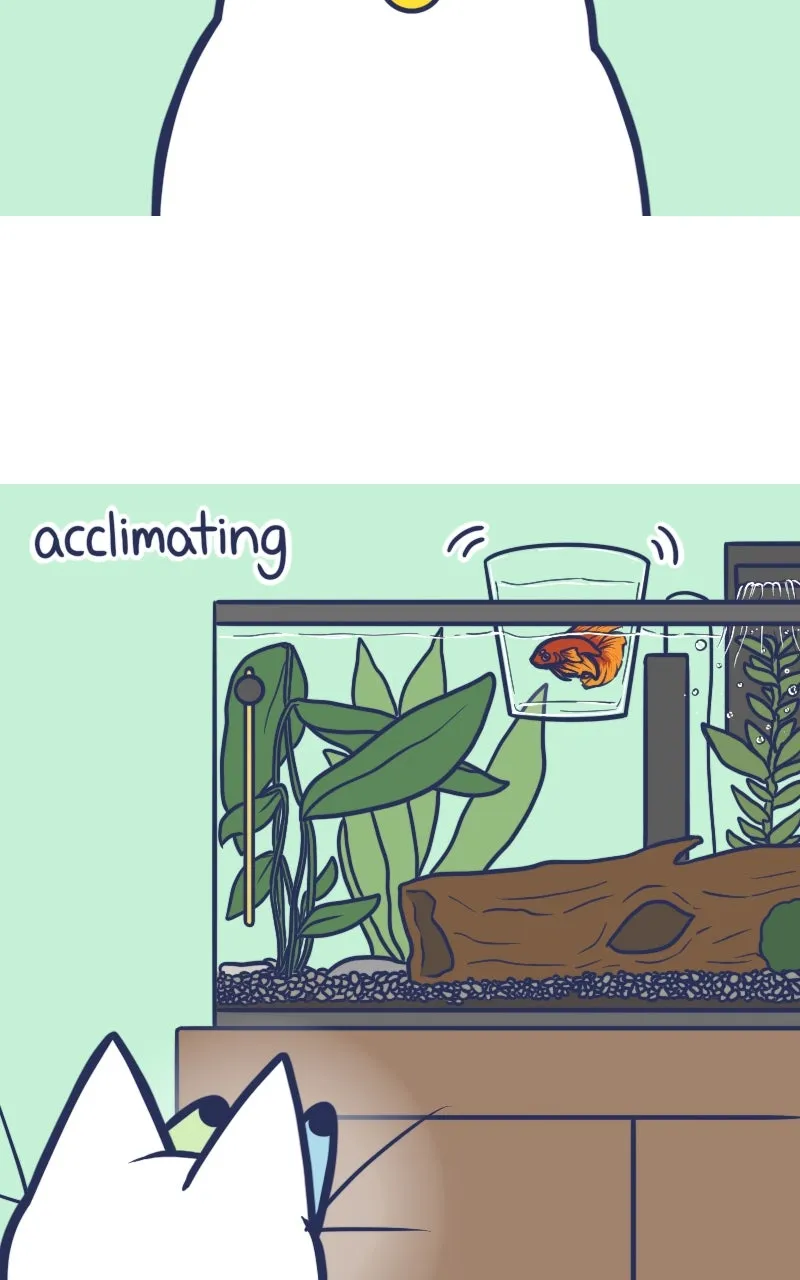 Mono and Mochi Chapter 58 page 5 - 