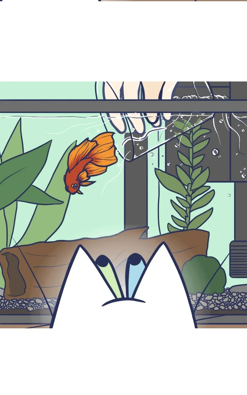 Mono and Mochi Chapter 58 page 6 - 
