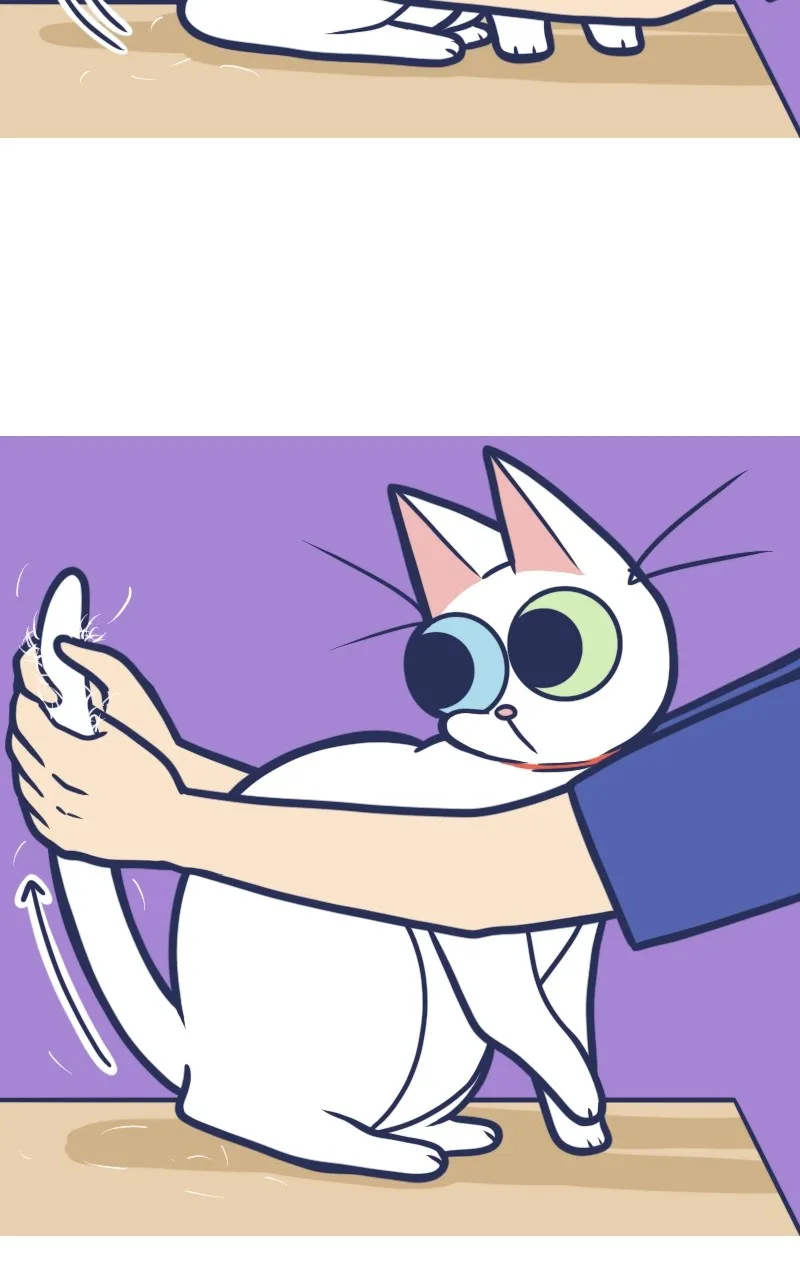 Mono and Mochi Chapter 66 page 6 - 