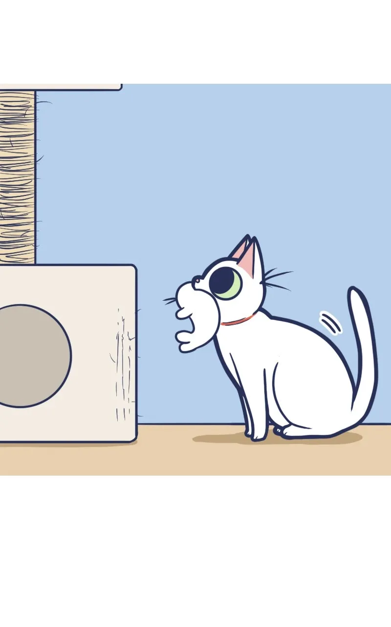 Mono and Mochi Chapter 68 page 2 - 