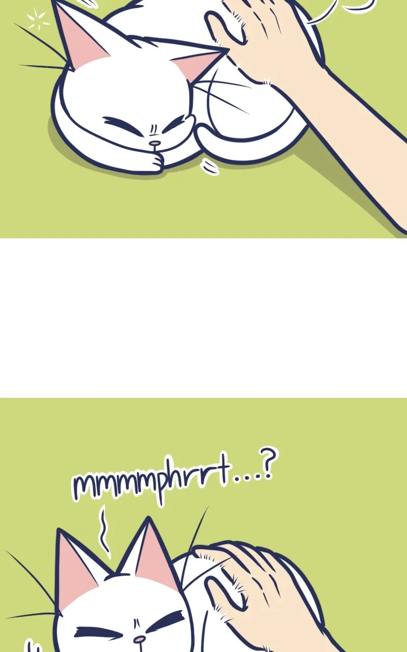 Mono and Mochi Chapter 72 page 5 - 