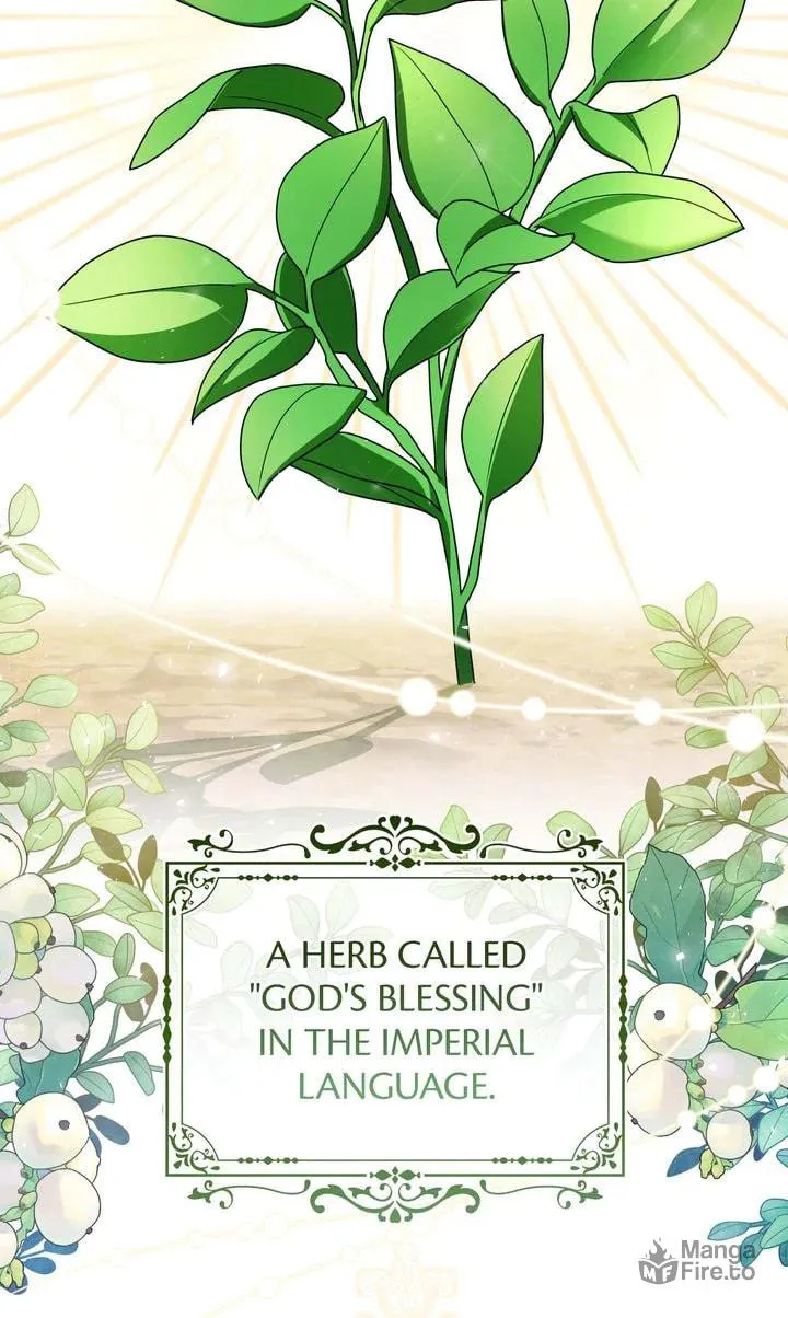 Monster in the Greenhouse Chapter 19 page 96 - 
