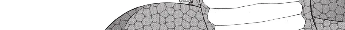 Read Monster Musume chapter 2 image 3 on Lezhin