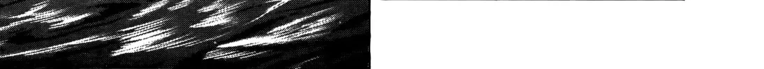 Read Monster (Perfect Edition) chapter 14 image 13 on Lezhin