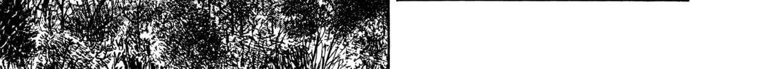Read Monster (Perfect Edition) chapter 147 image 13 on Lezhin