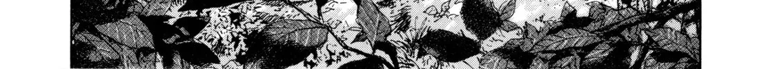 Read Monster (Perfect Edition) chapter 147 image 7 on Lezhin