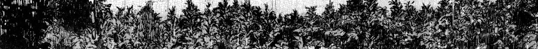 Read Monster (Perfect Edition) chapter 149 image 7 on Lezhin