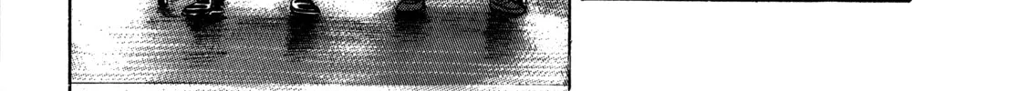 Read Monster (Perfect Edition) chapter 55 image 25 on Lezhin