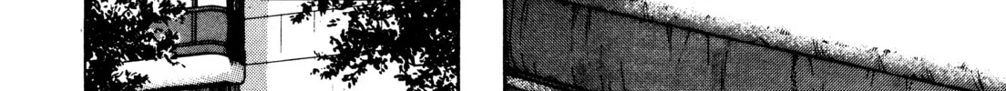 Read Monster (Perfect Edition) chapter 76 image 15 on Lezhin