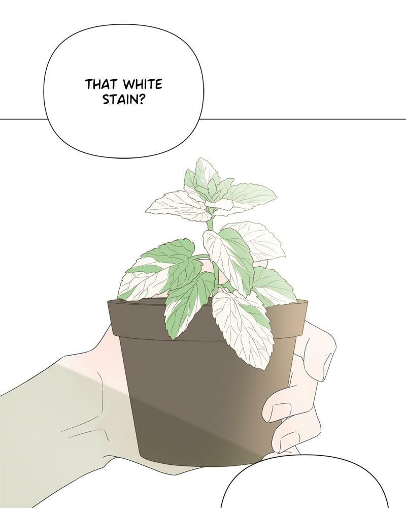 Read Moon Child chapter 79 image 55 on Lezhin