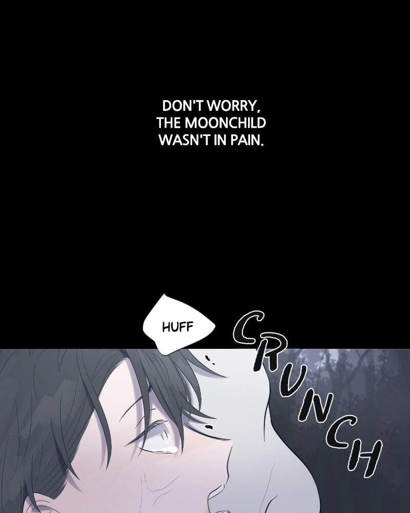 Read Moon Child chapter 1 image 165 on Lezhin